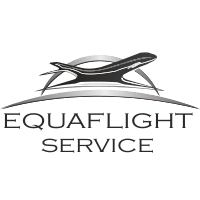 Equaflight Services (E7) logo
