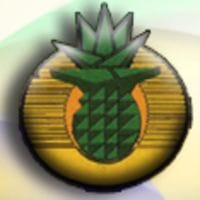 Pineapple Air (PNP) logo