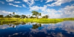 Flights to Francistown