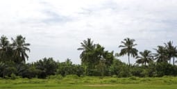 Flights to Gao