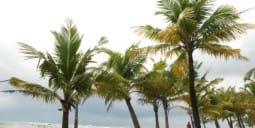 Flights to Guanaja
