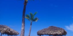 Flights to Harbour Island