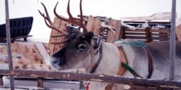 Flights to Kemi/Tornio