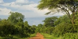 Flights to Kananga