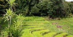 Flights to Lashio