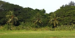 Flights to Mouila
