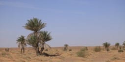 Flights to Misurata