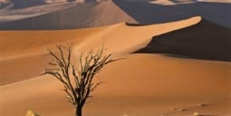 Flights to Namibe