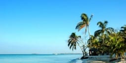 Flights to Negril