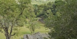 Flights to Puerto Lempira