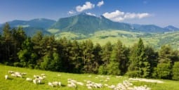 Flights to Piestany