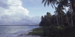 Flights to Rongelap Island
