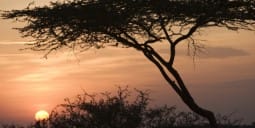 Flights to Indaselassie
