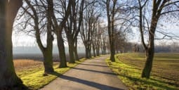 Flights to Stara Zagora