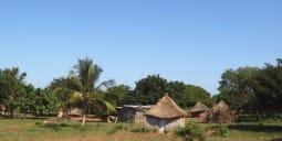 Flights to Lichinga