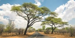 Flights to Hwange