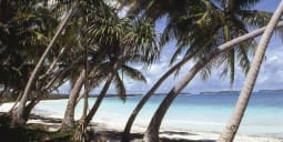 Flights to Wotje Island