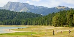 Flights to Zabljak