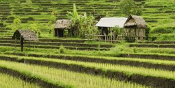 رحلات رخيصة إلى إندونيسيا
