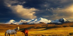 رحلات رخيصة إلى منغوليا