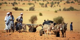رحلات رخيصة إلى موريتانيا