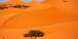 رحلات رخيصة إلى النيجر